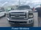 2015 Ford F-250SD Platinum