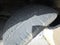 2022 Ford Transit-250 Base