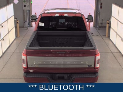 2021 Ford F-150 Platinum