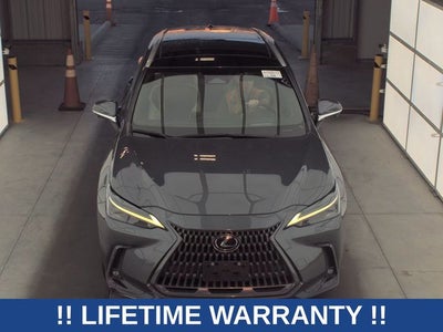 2024 Lexus NX 350 Luxury
