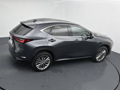 2024 Lexus NX 350 Luxury