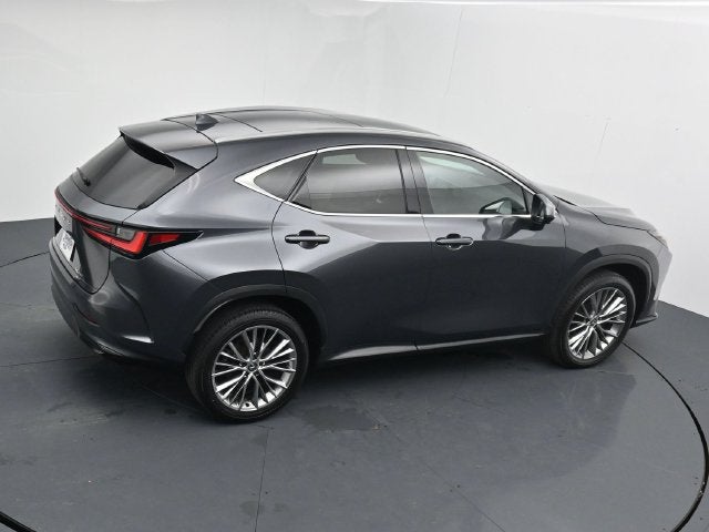 2024 Lexus NX 350 Luxury
