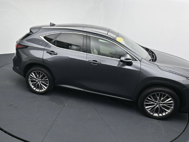 2024 Lexus NX 350 Luxury