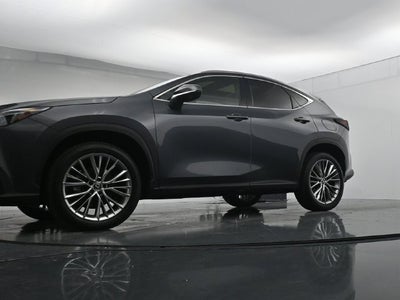 2024 Lexus NX 350 Luxury
