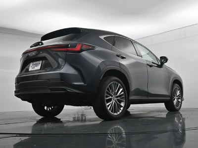 2024 Lexus NX 350 Luxury