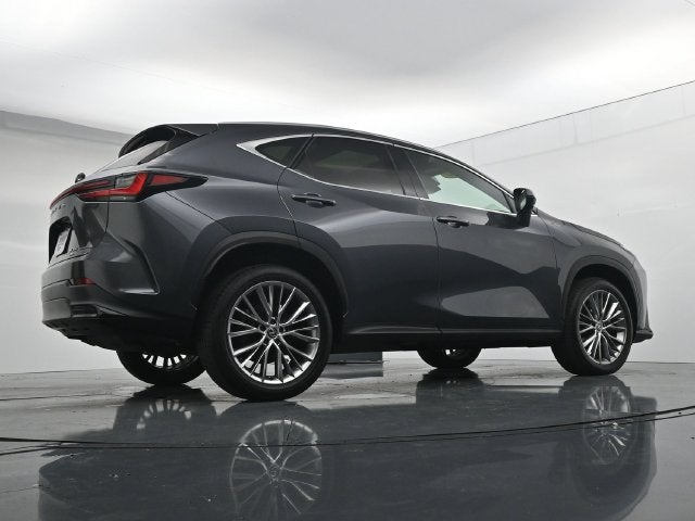 2024 Lexus NX 350 Luxury