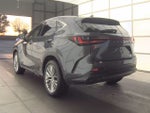 2024 Lexus NX 350 Luxury