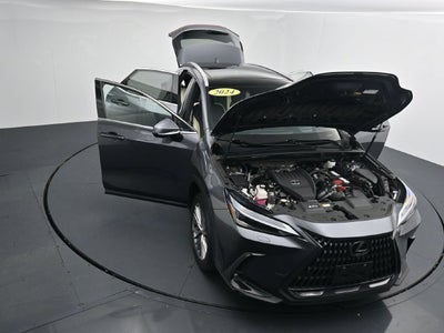 2024 Lexus NX 350 Luxury