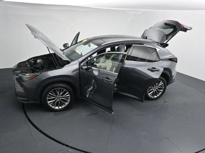 2024 Lexus NX 350 Luxury