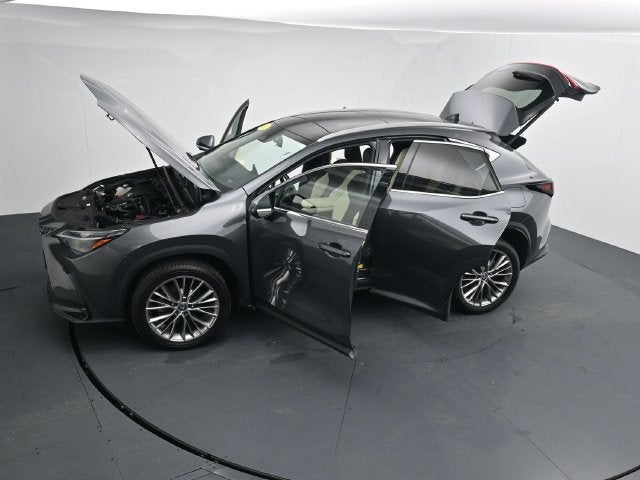 2024 Lexus NX 350 Luxury