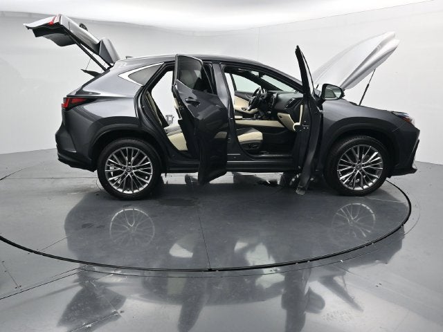 2024 Lexus NX 350 Luxury