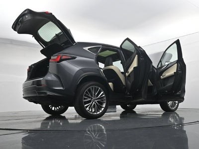 2024 Lexus NX 350 Luxury