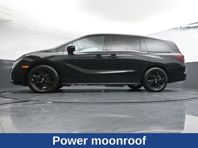 2023 Honda Odyssey Sport