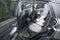2024 Acura RDX Technology Package