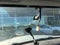 2013 Toyota Tacoma PreRunner