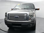 2013 Ford F-150 Platinum