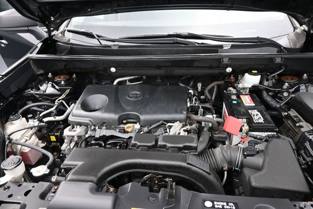 2019 Toyota RAV4 LE