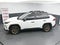 2024 Toyota RAV4 Woodland Edition