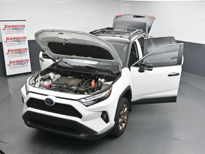 2024 Toyota RAV4 Woodland Edition