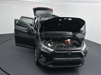 2024 Toyota RAV4 Woodland Edition