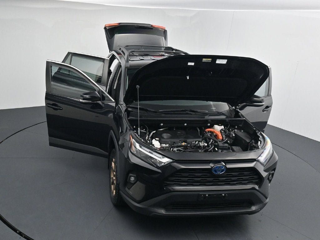 2024 Toyota RAV4 Woodland Edition