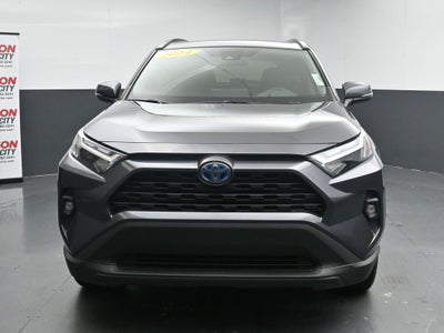 2024 Toyota RAV4 XLE Premium