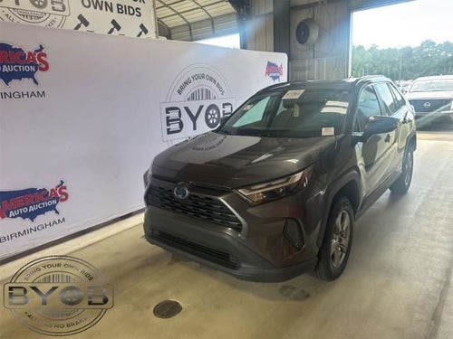 2023 Toyota RAV4 XLE