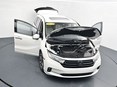 2023 Honda Odyssey Elite