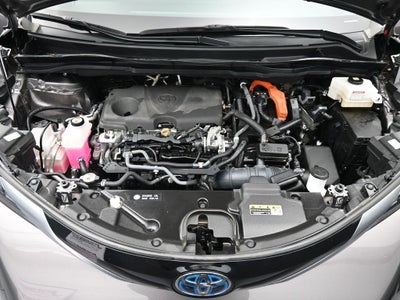 2021 Toyota Sienna XSE 7 Passenger