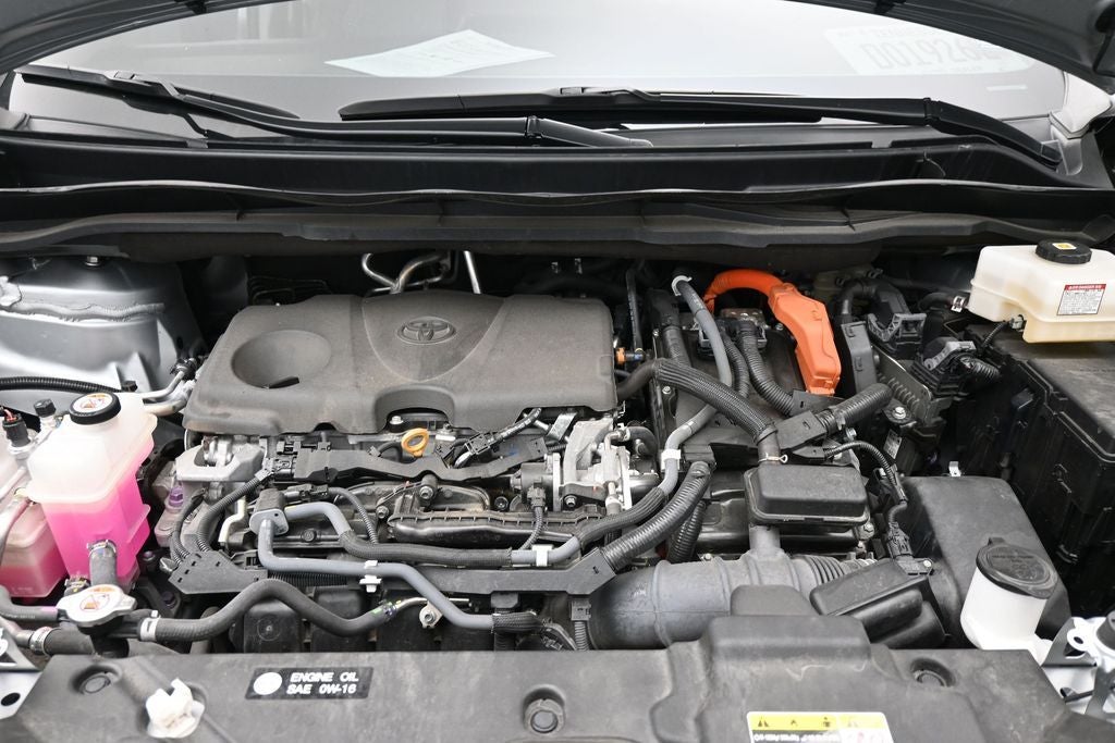 2021 Toyota Sienna XLE 7 Passenger