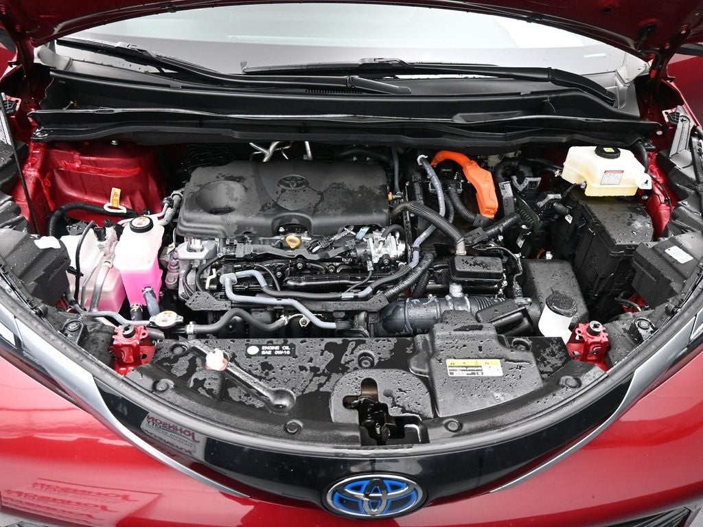 2025 Toyota Sienna Limited 7 Passenger