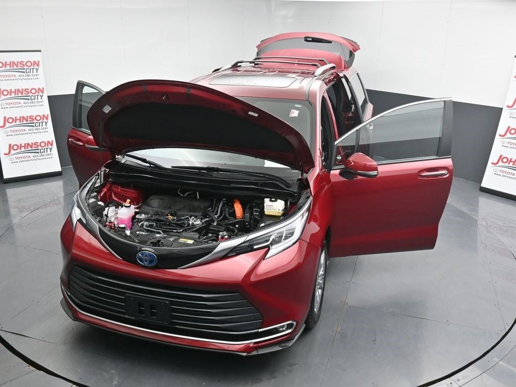 2025 Toyota Sienna Limited 7 Passenger