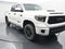 2020 Toyota Tundra TRD Pro