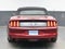 2017 Ford Mustang V6