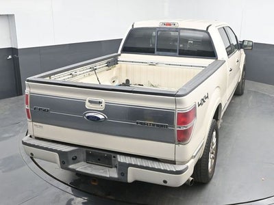 2009 Ford F-150 Platinum