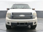 2009 Ford F-150 Platinum