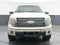 2009 Ford F-150 Platinum