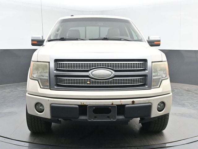 2009 Ford F-150 Platinum