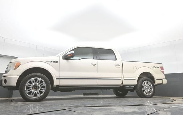 2009 Ford F-150 Platinum