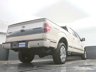 2009 Ford F-150 Platinum