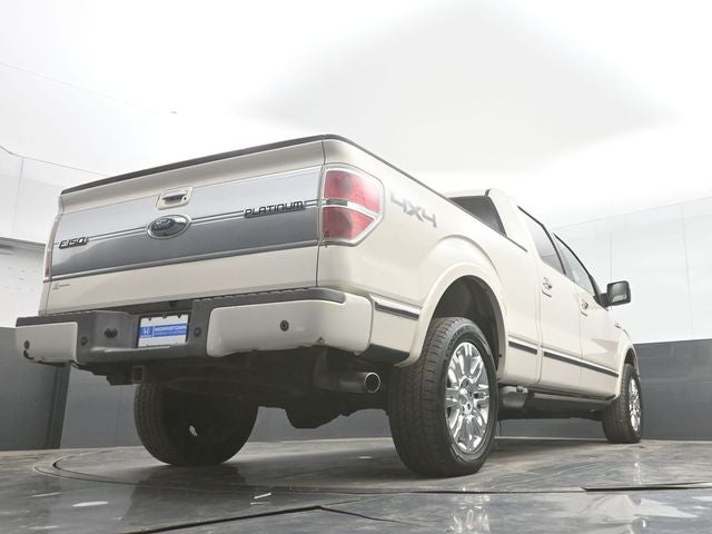 2009 Ford F-150 Platinum