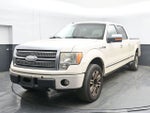 2009 Ford F-150 Platinum