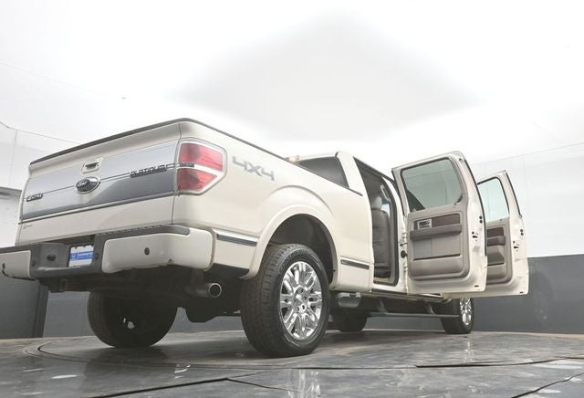 2009 Ford F-150 Platinum