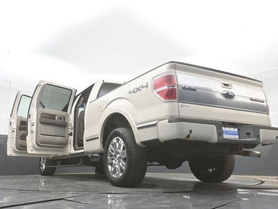2009 Ford F-150 Platinum