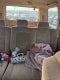 2003 Honda Pilot EX