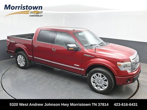 2013 Ford F-150 Platinum