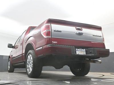 2013 Ford F-150 Platinum