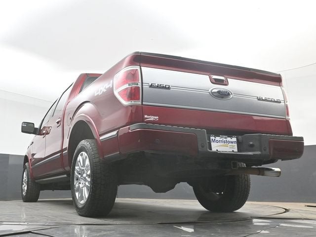 2013 Ford F-150 Platinum