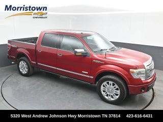 2013 Ford F-150 Platinum