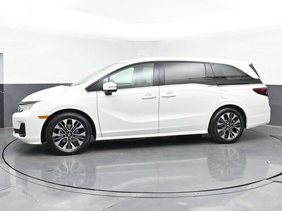2025 Honda Odyssey Elite